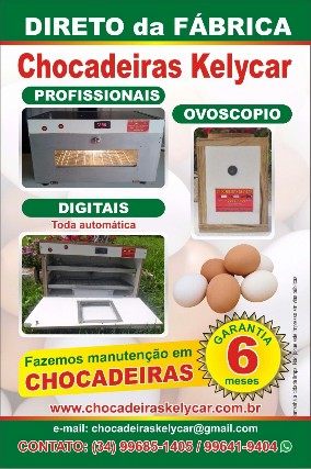 Foto 4 - Chocadeiras  de 60 e 130 ovos  promooes