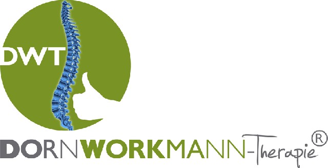 workshop internacional dwt®