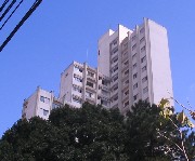 Apartamento São Paulo temporada todo mobiliado
